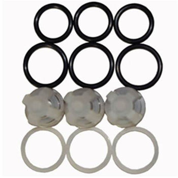 2 KITS/PUMP - 33060 VALVE KIT 5CP3120